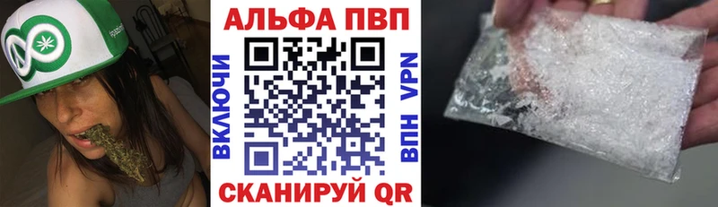 A PVP СК КРИС Сунжа